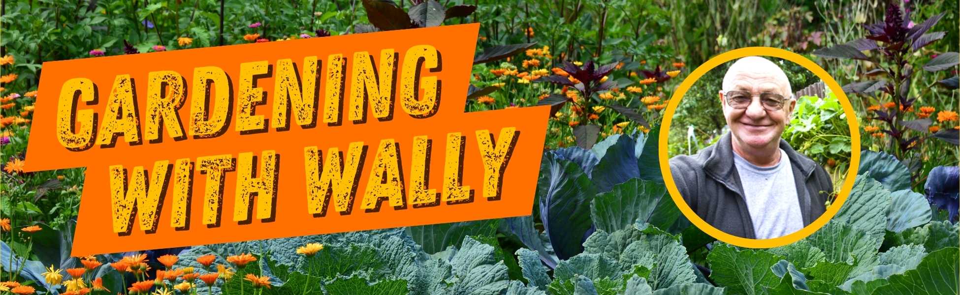 Gardening with Wally Reality Check Radio