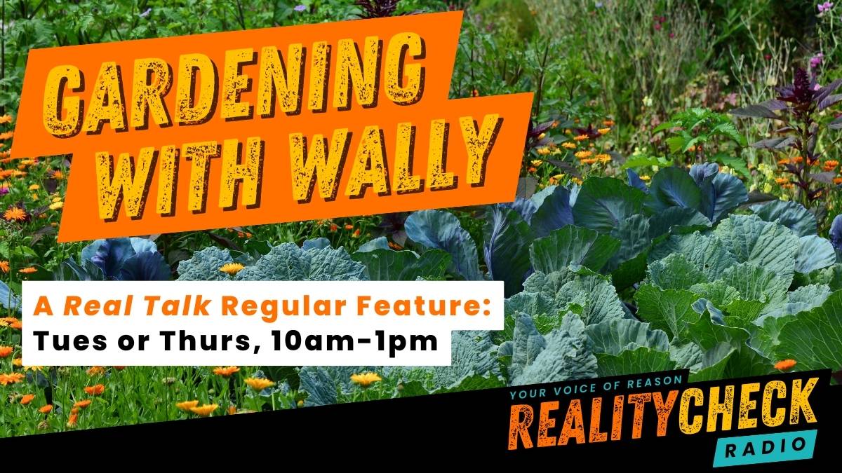 Gardening with Wally Reality Check Radio
